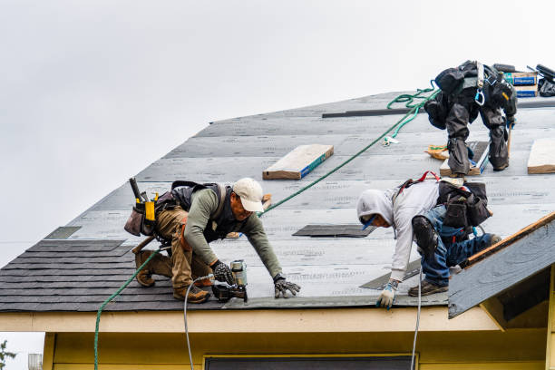 Professional Roof Replacement technician working in Gibbonsville, ID